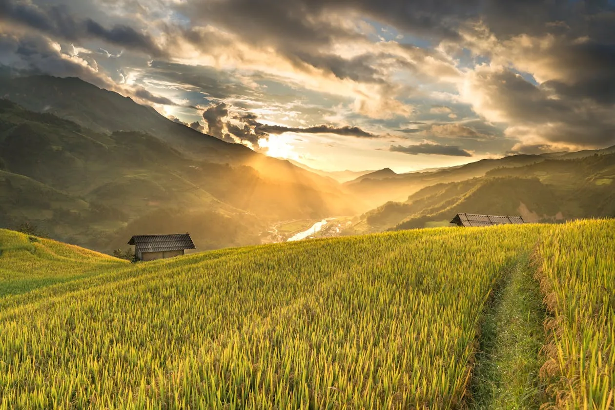 Top 10 Agricultural Export Commodities for International Buyers