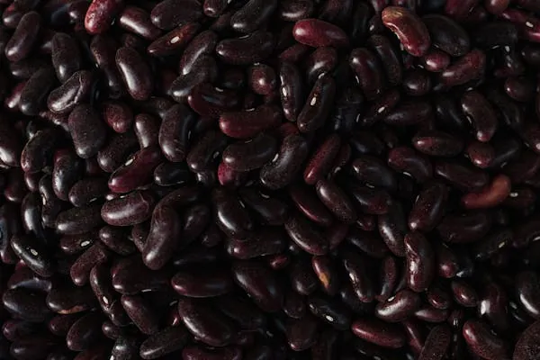 Black Kidney Beans