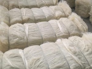 Sisal Fiber